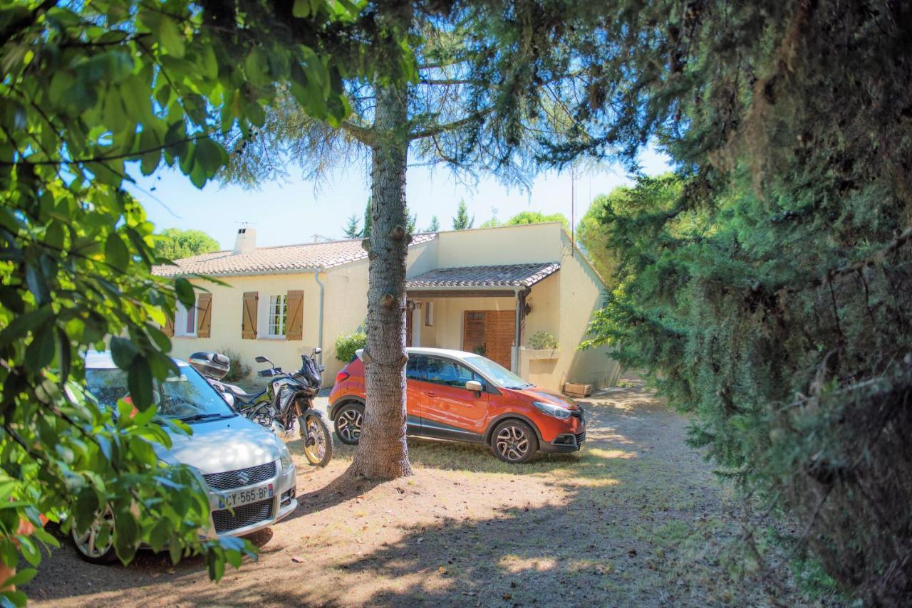 Villa 110M2, 7 Pers, Jacuzzi , 3 Chambres, Terrain Clos Et Arbore 2500M2 Trèbes Buitenkant foto